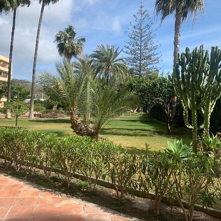 Apartamento Rosa Nautica Primera Linea De Playa ลาเอร์ราดูรา ภายนอก รูปภาพ